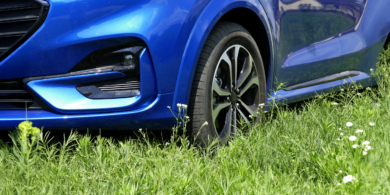 Какой штраф за парковку на газоне в 2025 году